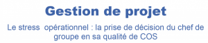 Mémoire FAC 2020-03 : Stress opérationnel, techniques d'optimisation du potentiel